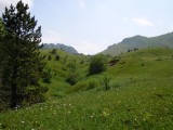 16. prema Gornjim barama